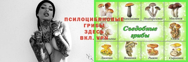 ALPHA PVP Михайловка