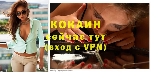 прущий лед Михайлов