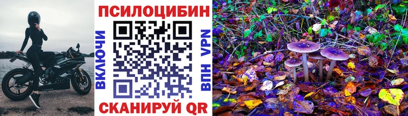 OMG зеркало Дербент Псилоцибиновые грибы Cubensis